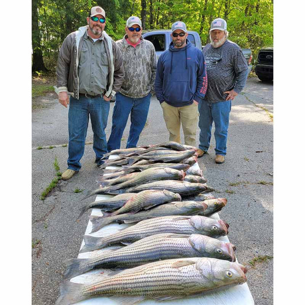 AHQ INSIDER Clarks Hill (GA/SC) 2022 Week 18 Fishing Report