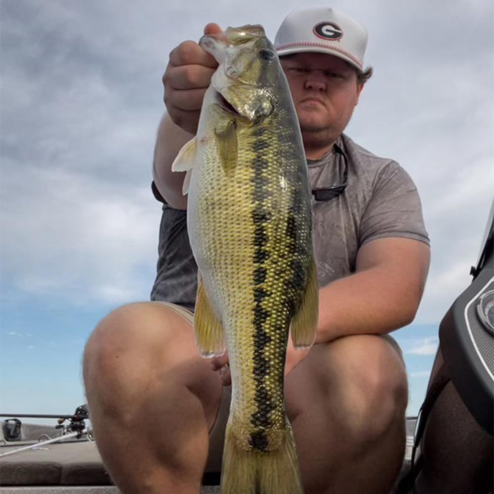 AHQ INSIDER Clarks Hill (GA/SC) 2024 Week 42 Fishing Report – Updated October 16