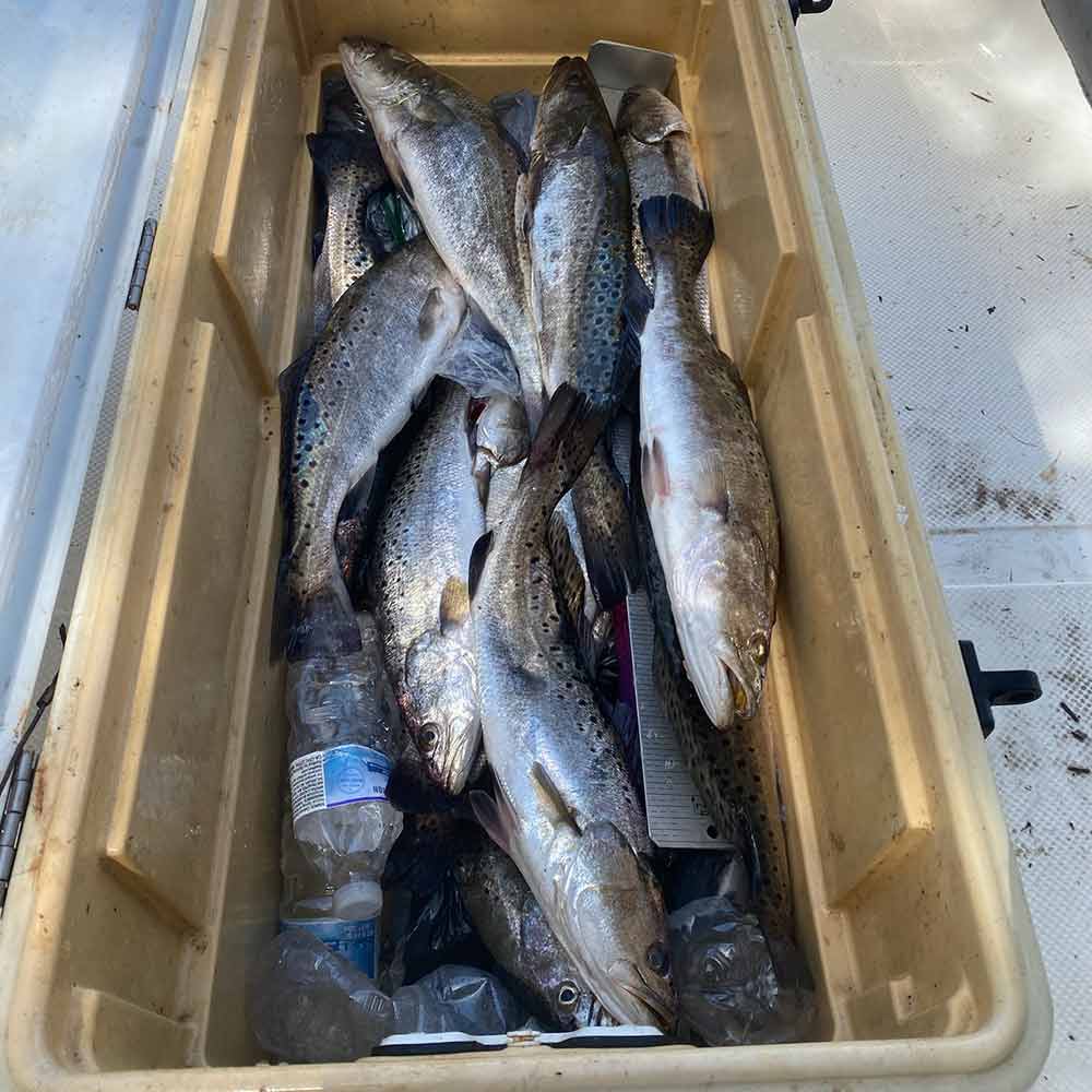 AHQ INSIDER Edisto Island (SC) 2024 Week 33 Fishing Report – Updated August 16