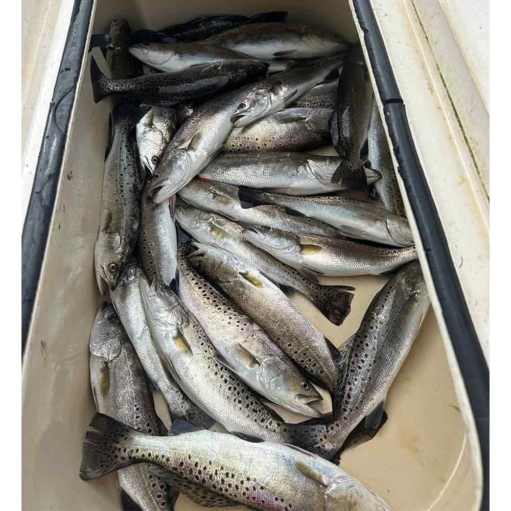 AHQ INSIDER Edisto Island (SC) 2024 Week 44 Fishing Report – Updated October 30