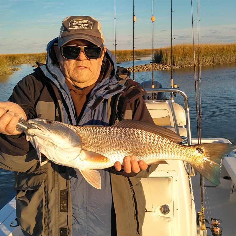 AHQ INSIDER Georgetown (SC) 2024 Week 1 Fishing Report – Updated January 4