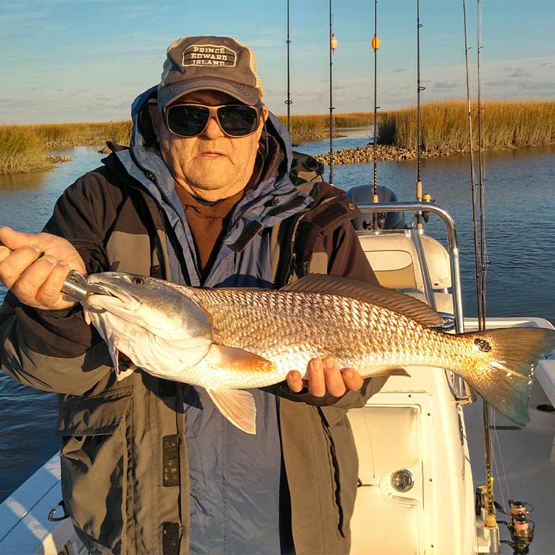 AHQ INSIDER Georgetown (SC) 2023 Week 50 Fishing Report – Updated December 14