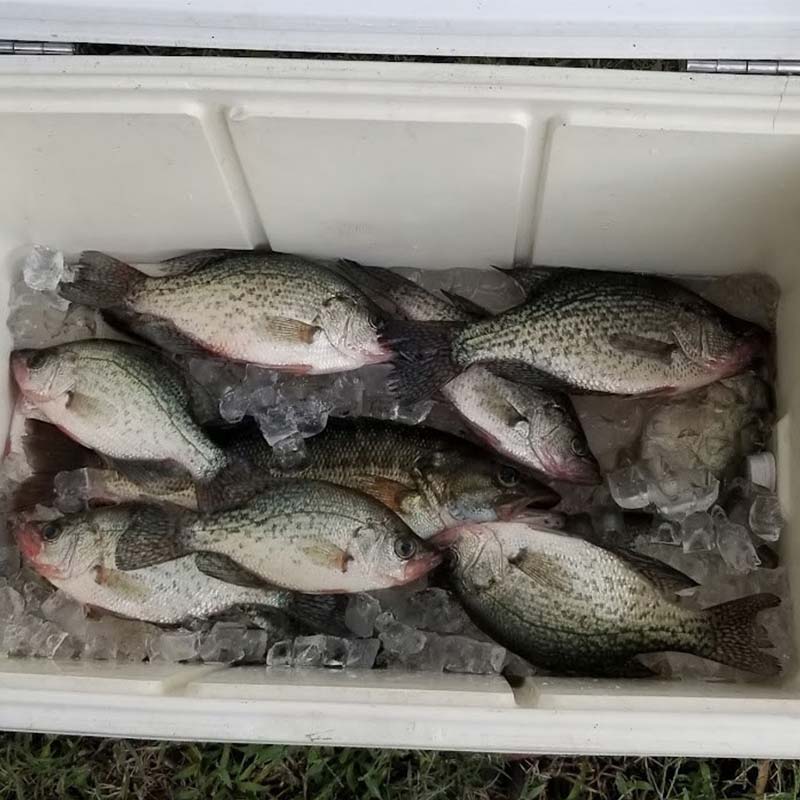 AHQ INSIDER Lake Greenwood (SC) Fall 2021 Fishing Report – Updated October 20