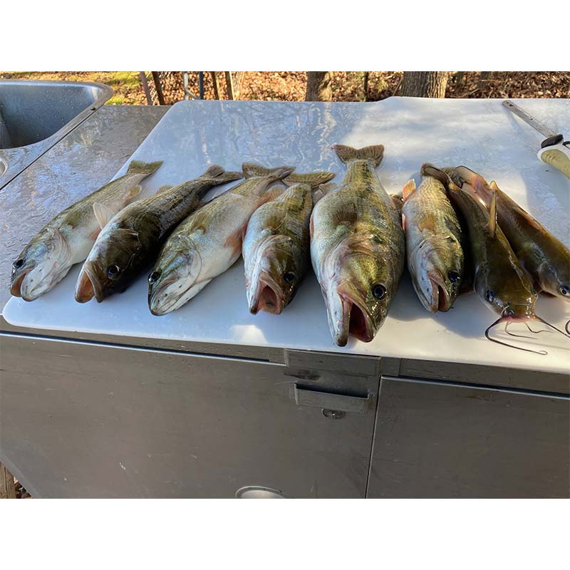 AHQ INSIDER Lake Hartwell (GA/SC) Spring 2021 Fishing Report – Updated January 6