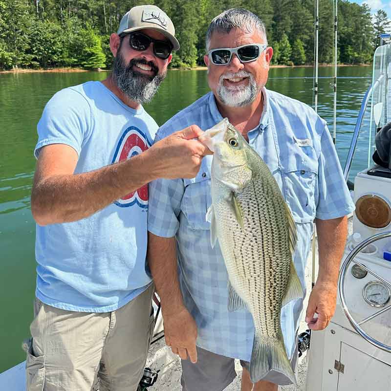 AHQ INSIDER Lake Russell (GA/SC) 2023 Week 25 Fishing Report – Updated -  Angler's Headquarters