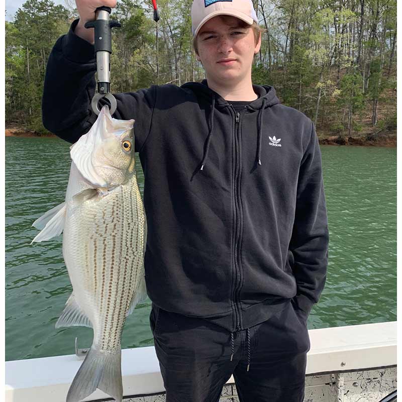 AHQ INSIDER Lake Hartwell (GA/SC) Spring 2020 Fishing Report – Updated April 15