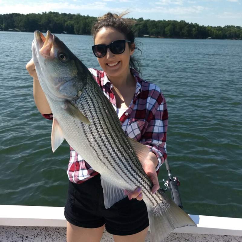 AHQ INSIDER Lake Hartwell (GA/SC) Spring 2020 Fishing Report – Updated June 2