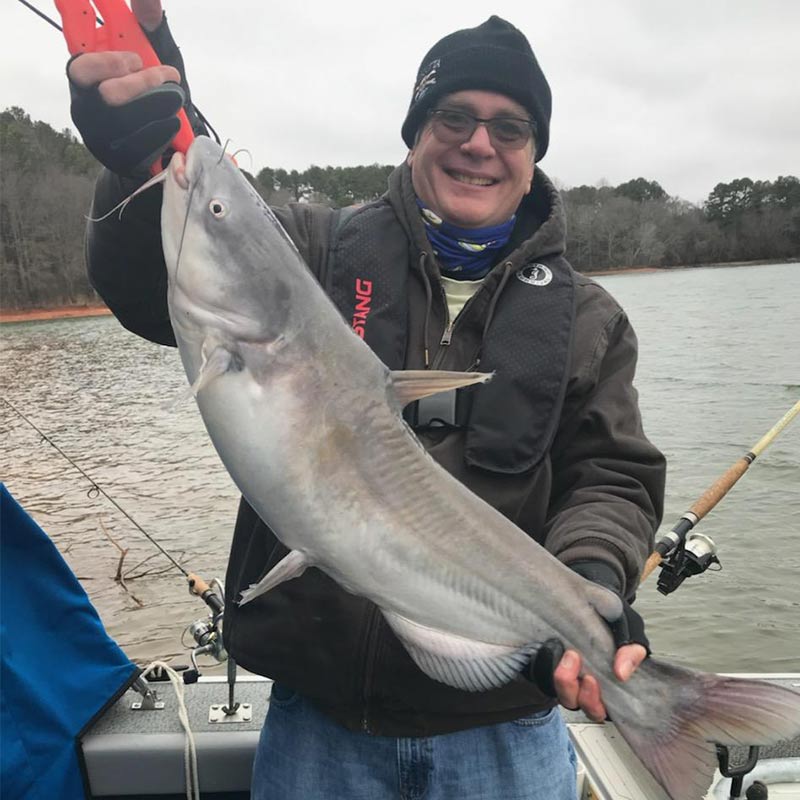 AHQ INSIDER Lake Hartwell (GA/SC) Spring 2021 Fishing Report – Updated February 26