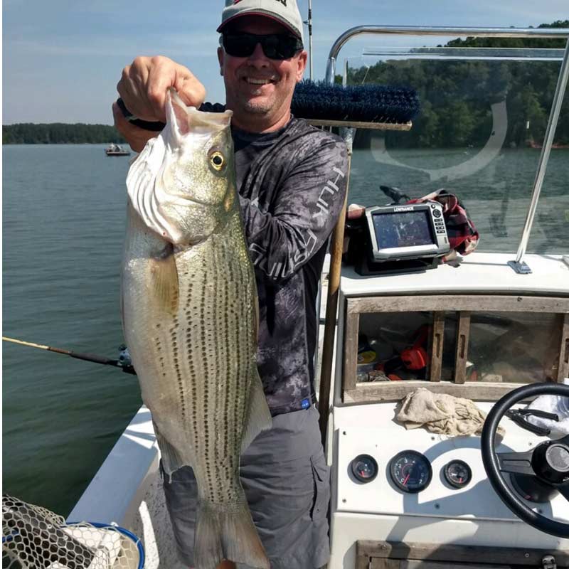 AHQ INSIDER Lake Hartwell (GA/SC) Summer 2020 Fishing Report – Updated June 10