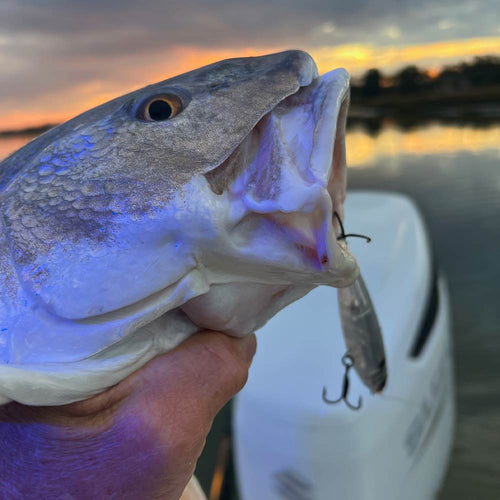 A topwater red with Captain Trent Malphrus