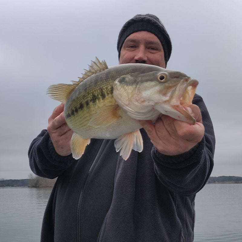 AHQ INSIDER Lake Keowee (SC) Spring 2021 Fishing Report - Updated February 12