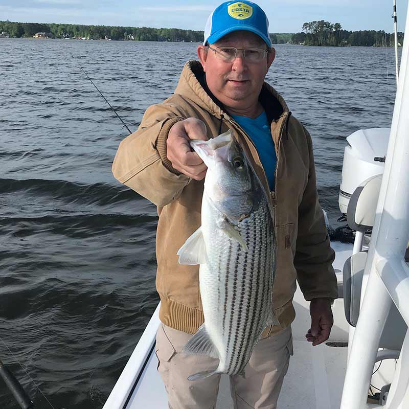 AHQ INSIDER Lake Murray (SC) Spring 2021 Fishing Report - Updated