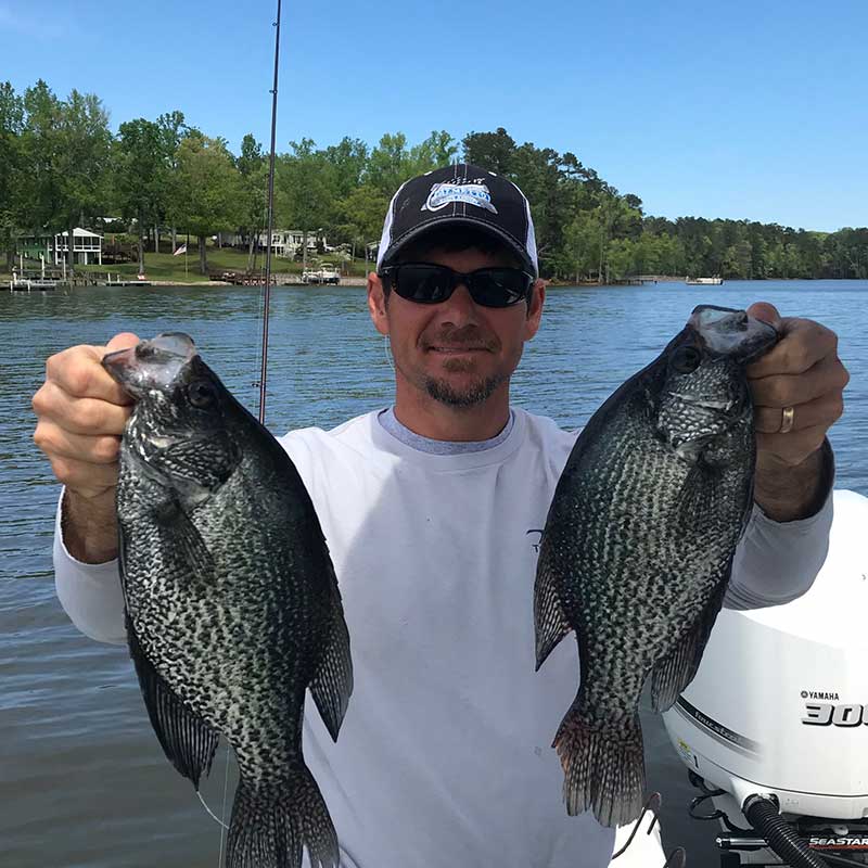 AHQ INSIDER Lake Murray (SC) Spring 2020 Fishing Report - Updated April 8