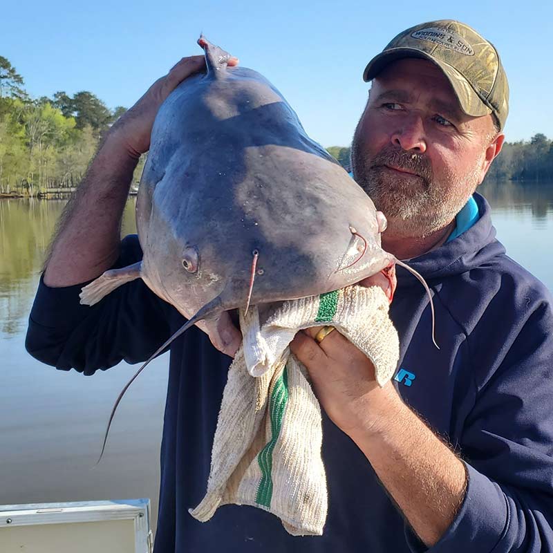 AHQ INSIDER Lake Murray (SC) 2022 Week 14 Fishing Report - Updated April 8