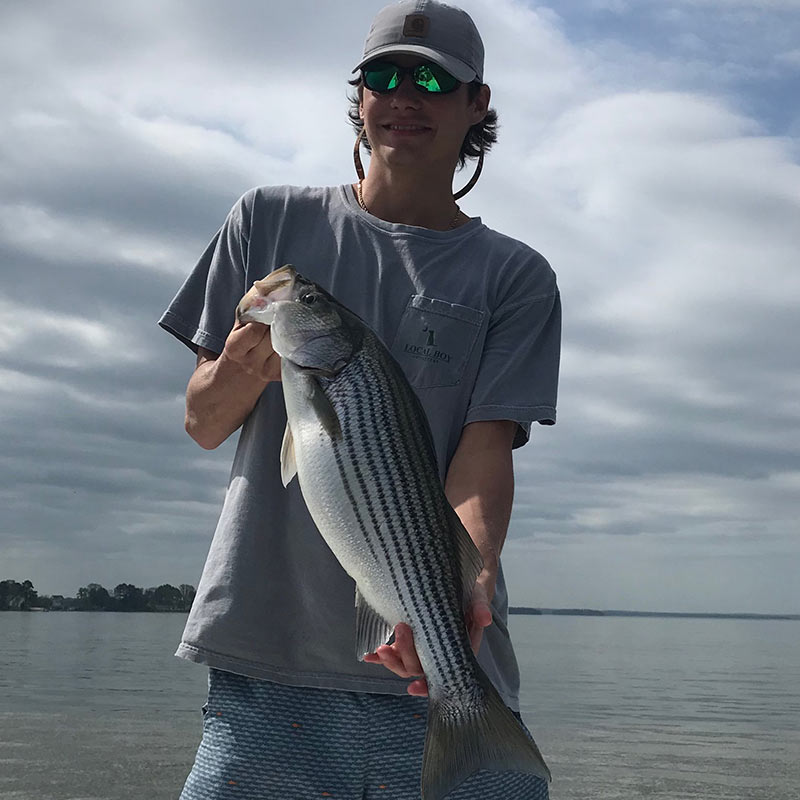 AHQ INSIDER Lake Murray (SC) Spring 2020 Fishing Report - Updated March 25