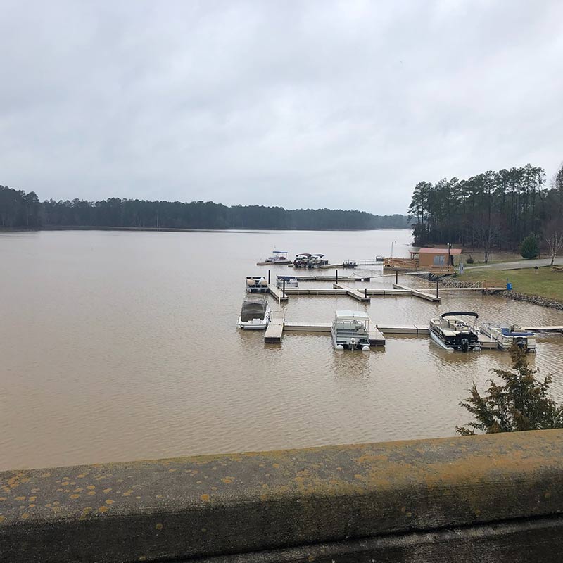 AHQ INSIDER Lake Murray (SC) Spring 2020 Fishing Report - Updated March 13