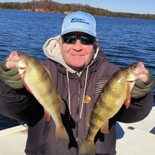 Guide Wendell Wilson wiht a couple of nice yellow perch