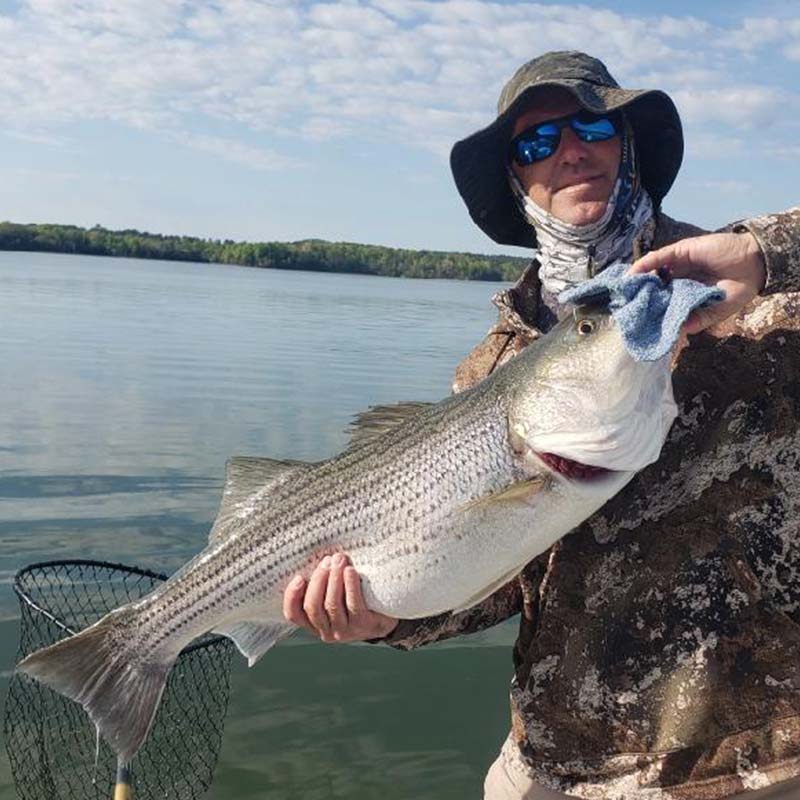 Santee Cooper (Lake Marion & Lake Moultrie) Fishing Report - Angler's  Headquarters