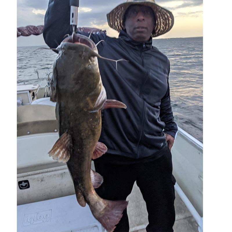 AHQ INSIDER Santee Cooper (SC) Summer 2020 Fishing Report – Updated August 26