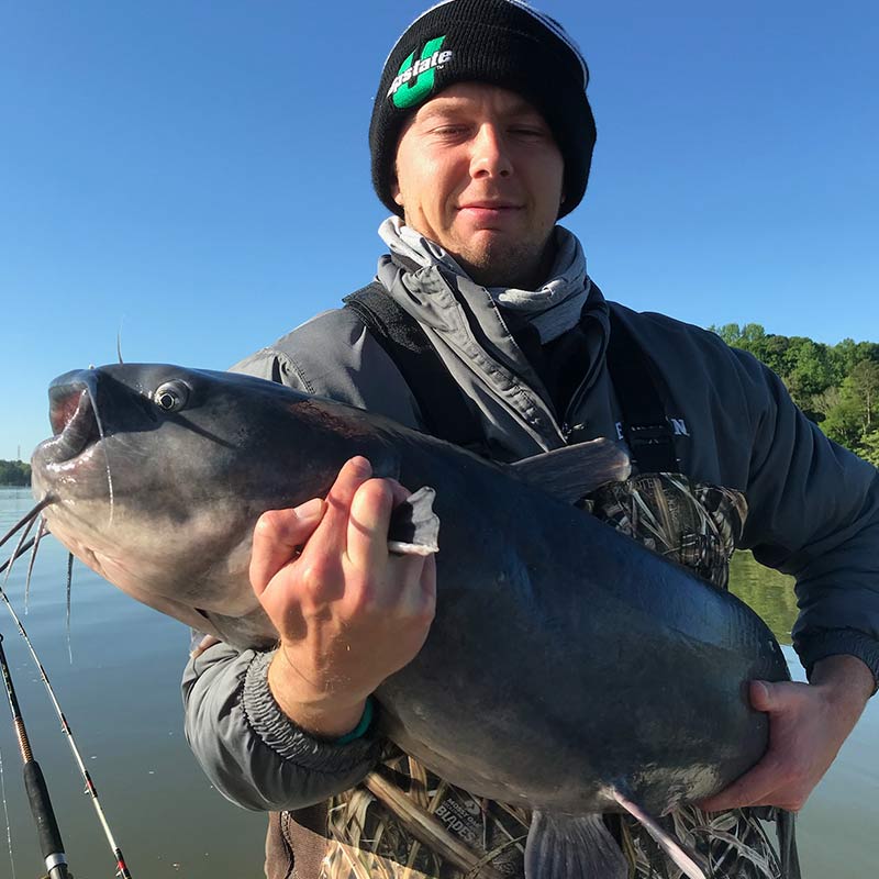 AHQ INSIDER Lake Wateree (SC) Fall Fishing Report – Updated November 24