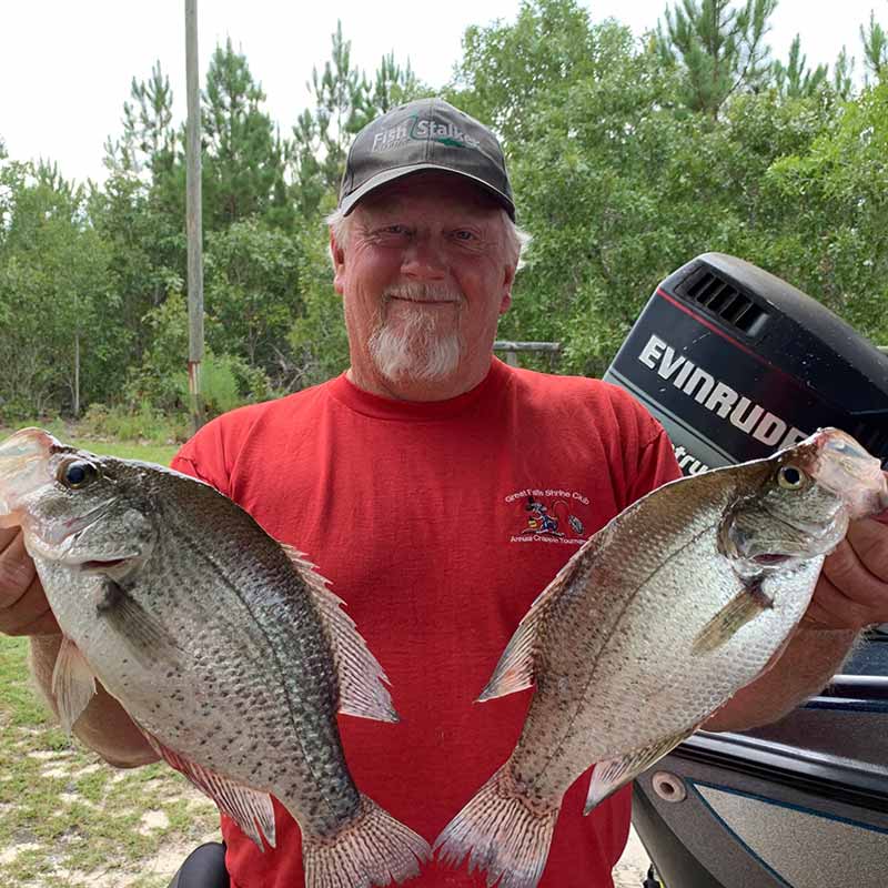 AHQ INSIDER Lake Wateree (SC) Summer Fishing Report – Updated August 27