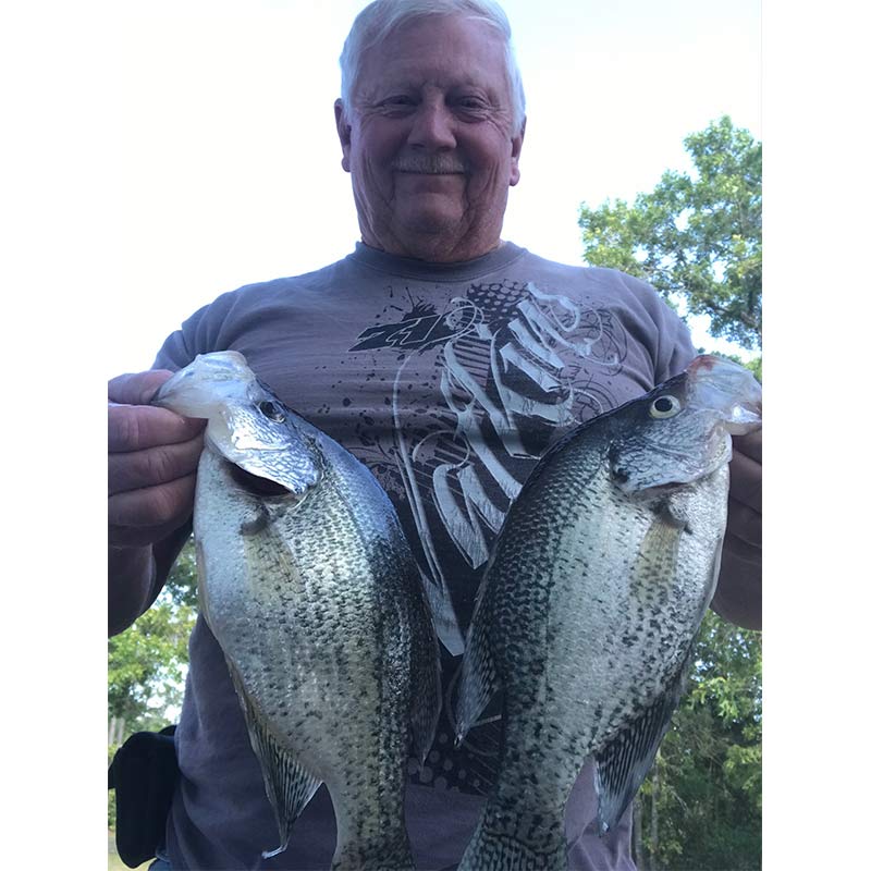 HQ INSIDER Lake Wateree (SC) Spring Fishing Report – Updated April 30