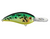 Bomber Gen 2 Fat Free Guppy Crankbait