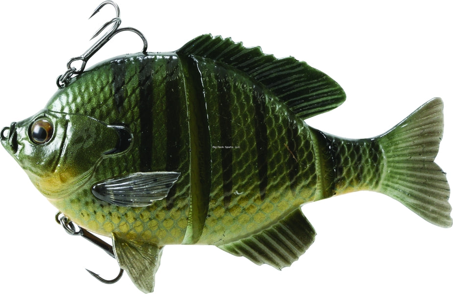  Savage Gear 3D Bluegill RTF Fishing Bait, 3/4 oz, White Gill,  Realistic Contours, Colors & Movement, Durable Construction, Heavy-Duty Jig  Fishing Hook, Built-in Rattle, Scent Infused : Sports & Outdoors