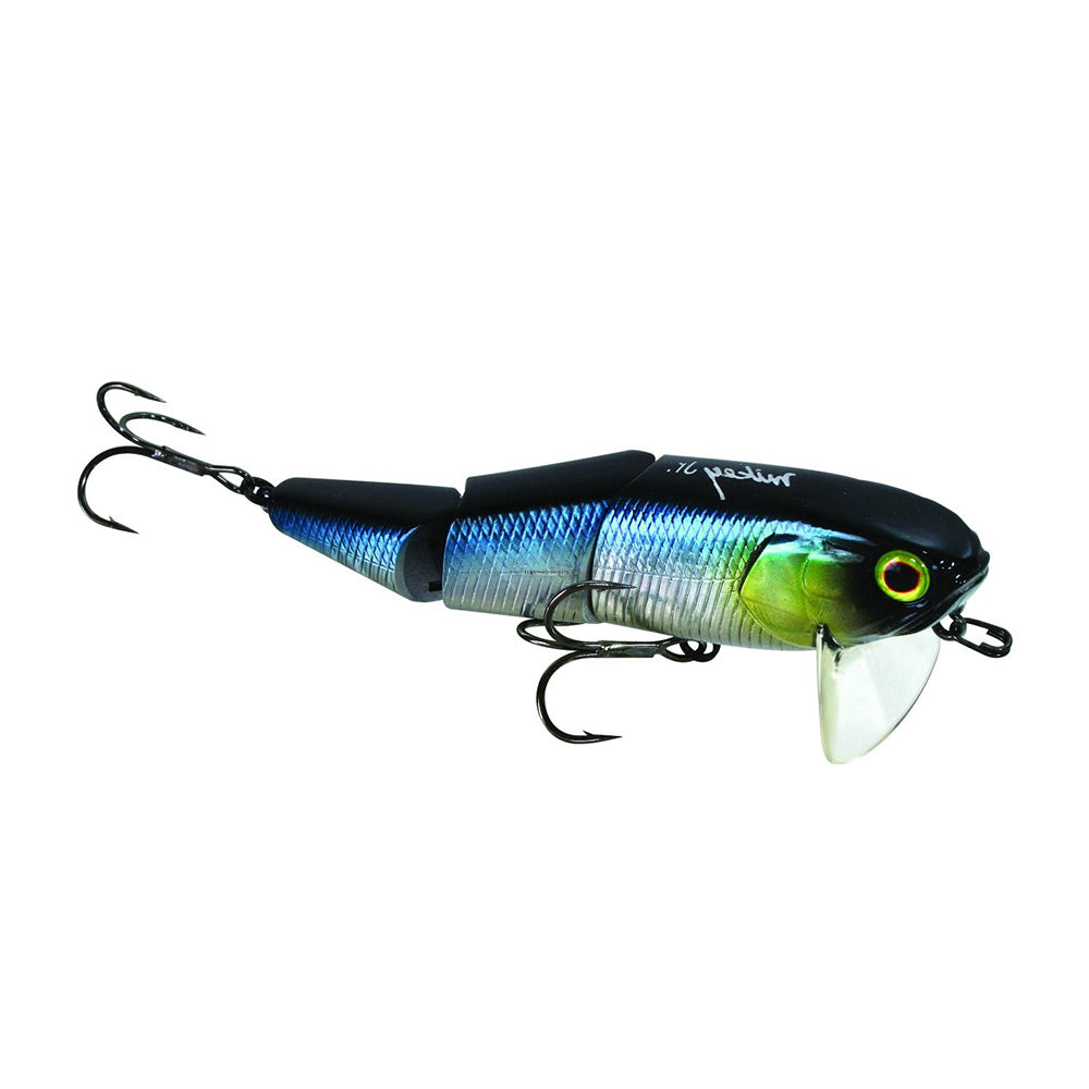 ansari 2 Pcs Saltwater Fishing Popper Lure 4.92 in/1.41 oz Topwater Popper  Lure Artificial Lure Big Game 3D Eyes Hard Baits with Treble Hooks for